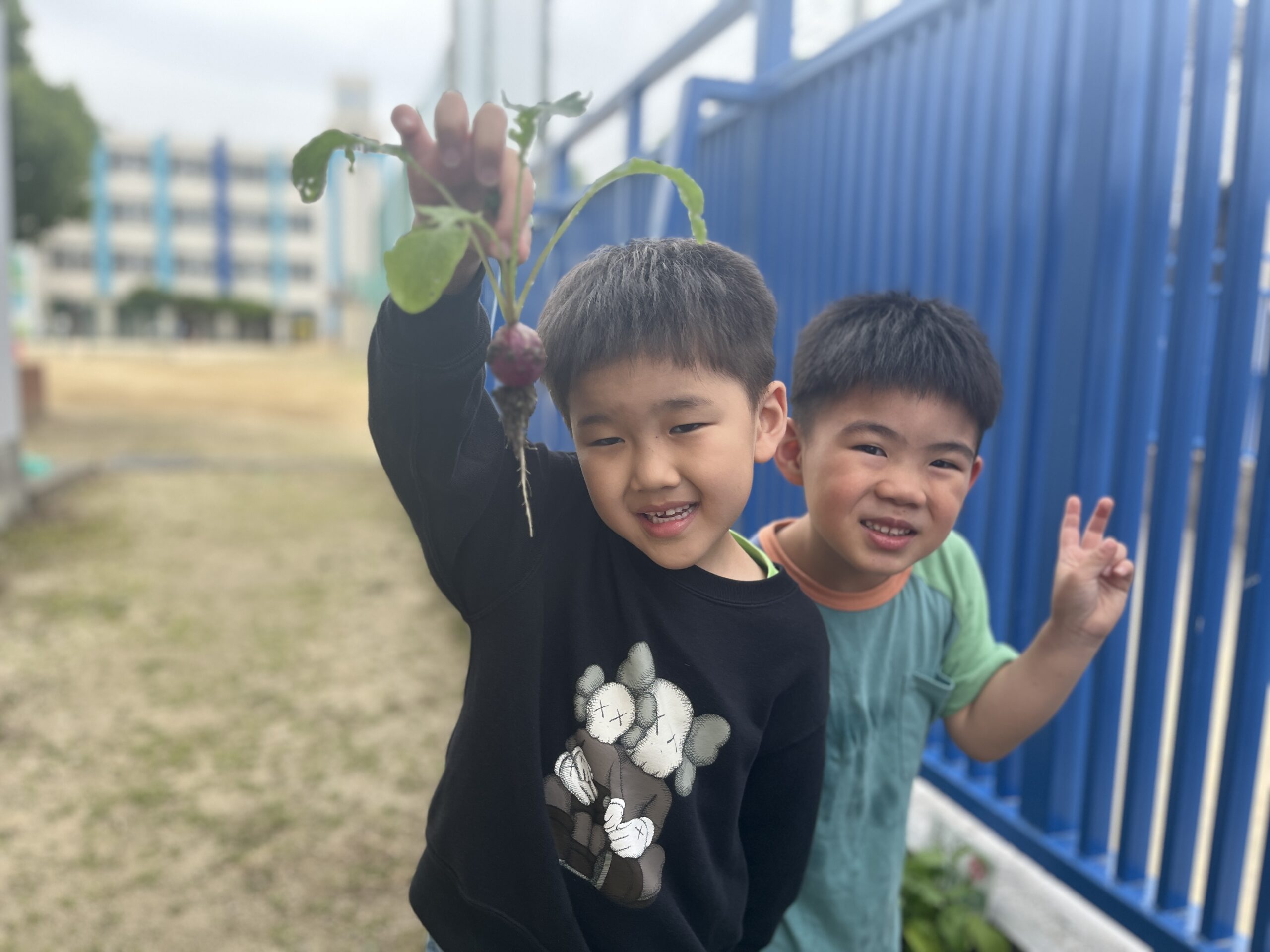 Early Childhood - Plant, gardening,