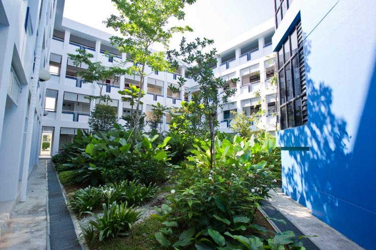 A nature garden for Early Childhood and Primary School students to explore.